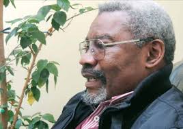 L’ancien ministre congolais de la Défense se prononce contre le ’’tripatouillage’’ constitutionnel