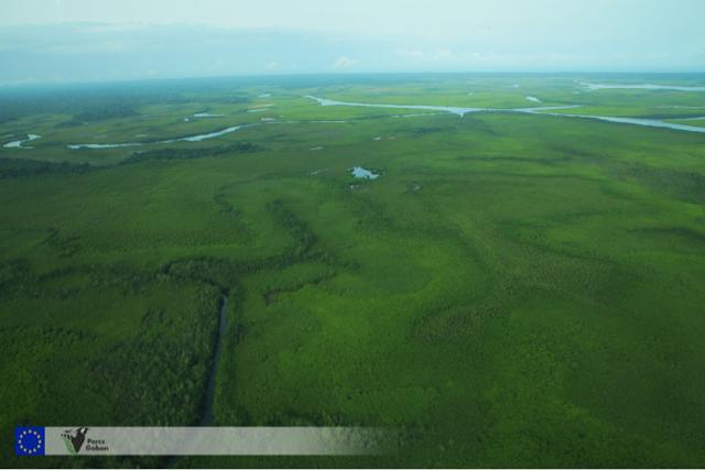 L’ANPN lance un programme de surveillance aérienne pour mieux protéger les parcs du Gabon