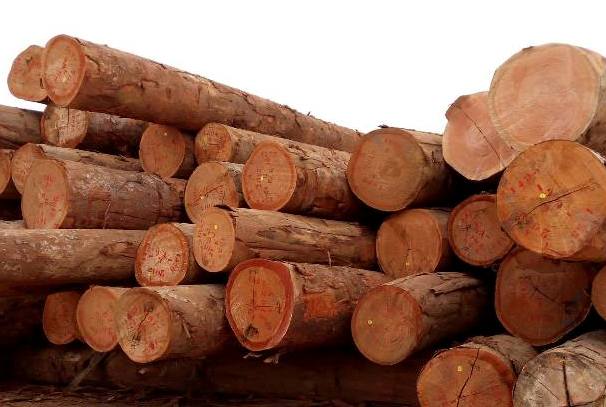 Le Gabon a exporté pour 42.67 millions de dollars vers l’Inde