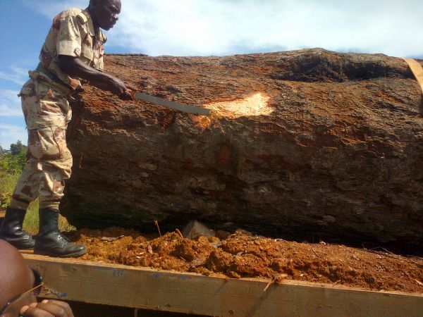 La chefferie de l’Ogooué Ivindo « décapitée » par un Kevazingo