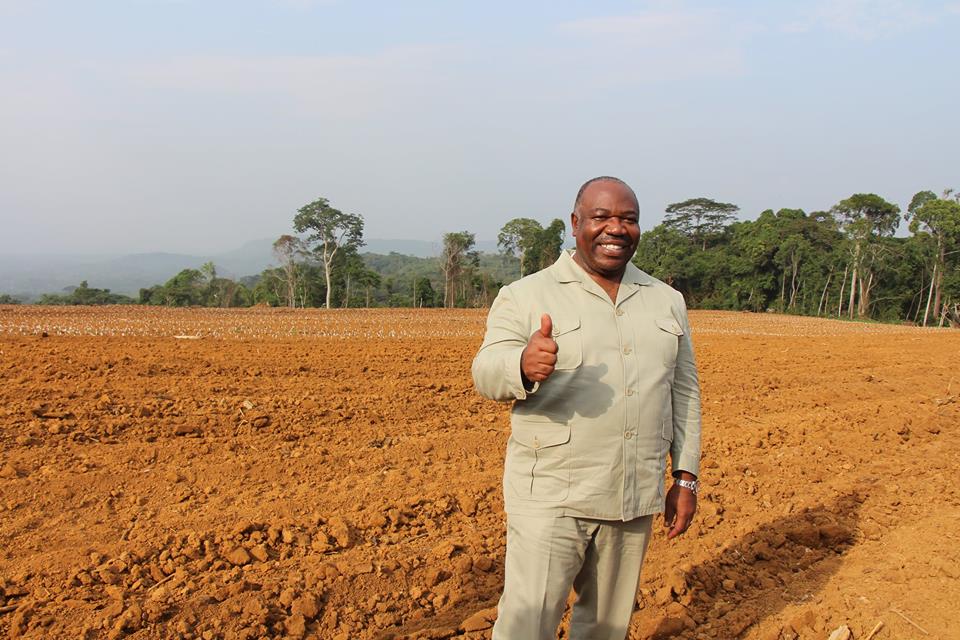 Graine est le plus grand chantier du Gabon après le Transgabonais (Ali Bongo)