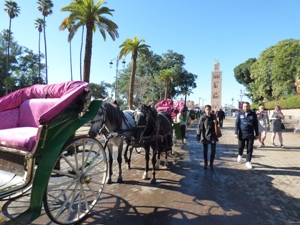 La place Jemaa el-Fna. Willy et les charmeurs de serpents @ Gabonactu.com