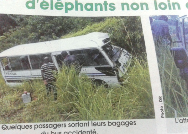Des éléphants attaquent un bus de transport en commun