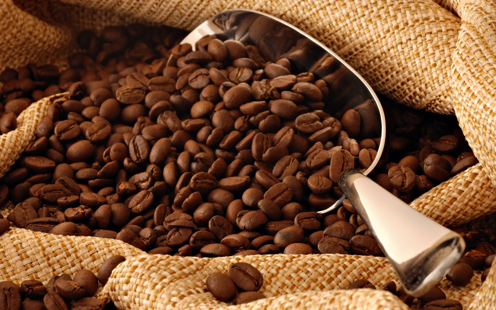 200 millions de FCFA pour acheter le café et le cacao auprès des planteurs