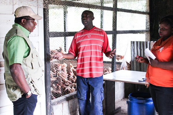 Une dizaine d’éleveurs gabonais étaient au Cameroun pour apprendre à fabriquer les aliments de bétail