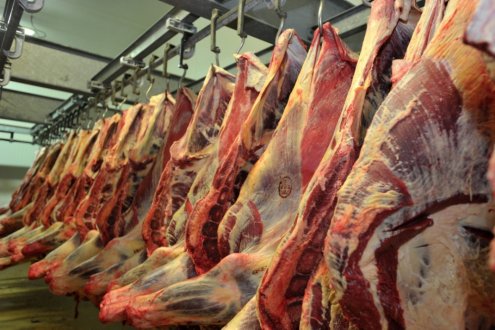 Scandale de la viande avariée : L’Agasa saisit 5 containers en provenance du Brésil