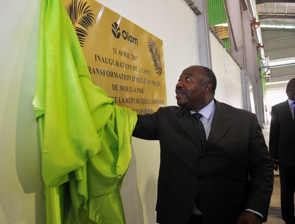Ali Bongo ironise sur les critiques contre le palmier à huile