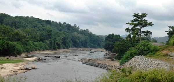 Tous responsables dans les malheurs du Gabon (libre propos)