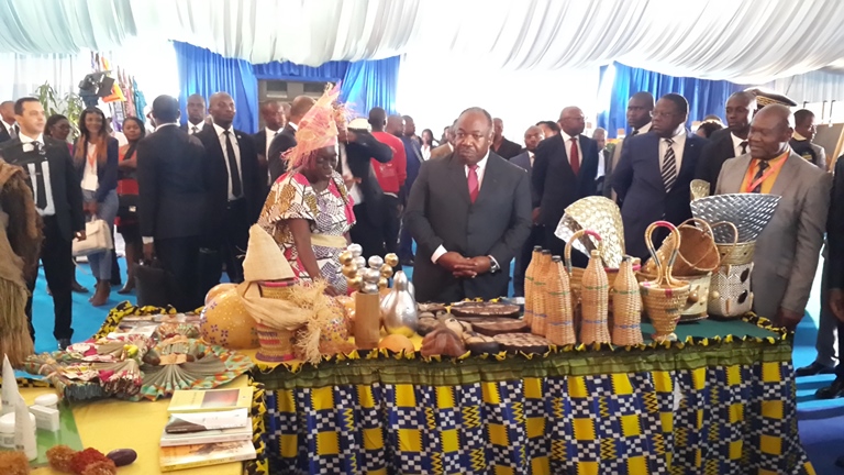 Formation d’un nouveau gouvernement : Ali Bongo botte en touche