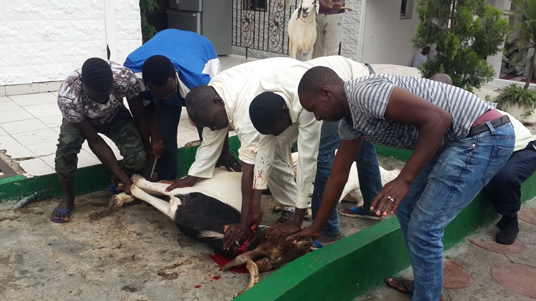 Les musulmans du Gabon ont célébré la fête du Mouton dans la fraternité