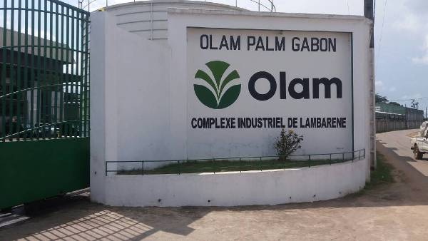Olam : une parfaite reprise de l’usine d’huile autrefois opérée par Siat Gabon