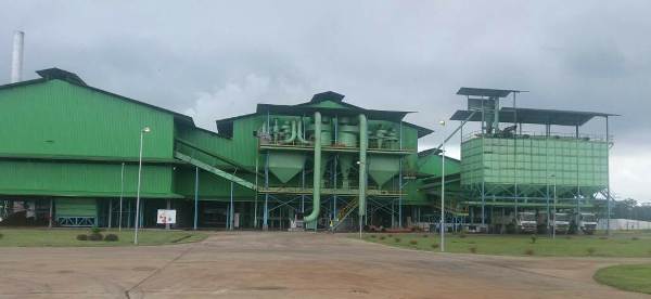 A Mouila Olam produit 540 tonnes d’huile de palme par jour