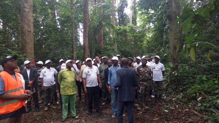 L’Arboretum de Sibang, une forêt en danger