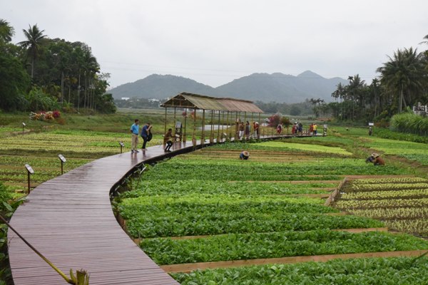 La province chinoise du Hainan invite les africains à venir découvrir son miracle économique