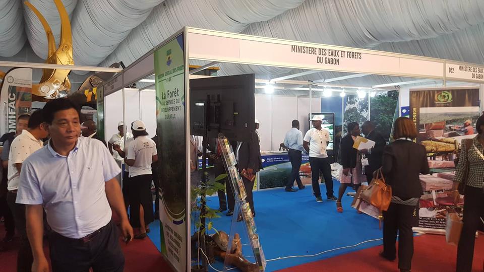 Ouverture du salon « Gabon woodshow » sur la promotion de la transformation du bois