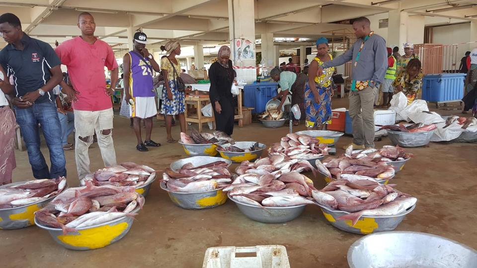 L’UE fait les yeux doux au Gabon pour renouveler son accord de pêche au thon