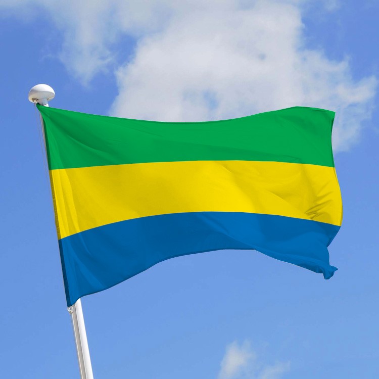 Vacance de pouvoir : un autre universitaire gabonais se lâche