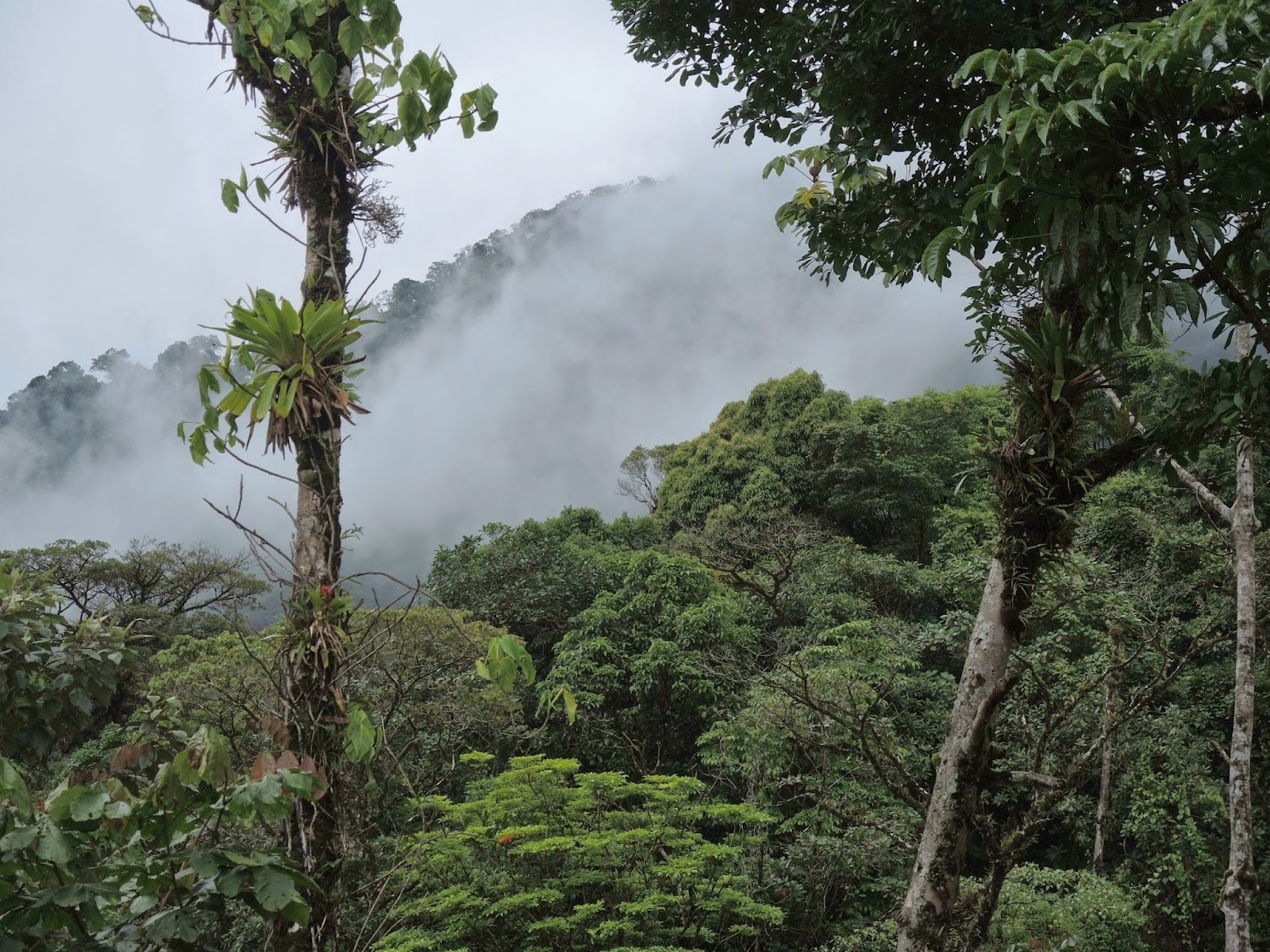 COP 24 : la BAD résolue à poursuivre la lutte contre le changement climatique en Afrique