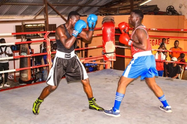 Sport : le championnat de la ligue boxe de l’estuaire commence le 19 janvier