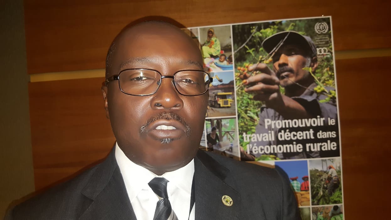 Agriculture : la BAD injectera 66 milliards de FCFA dans l’agriculture au Gabon