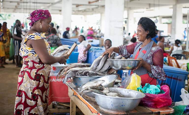 Les 6 mécanismes pour atteindre la sécurité alimentaire au Gabon