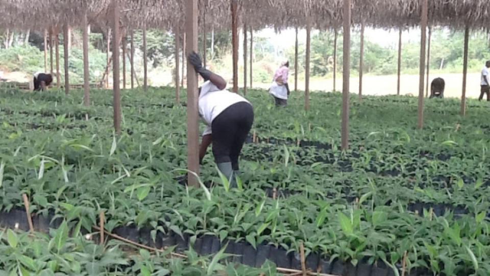 La BAD finance 15 projets au Gabon pour un montant de 536 milliards de F CFA