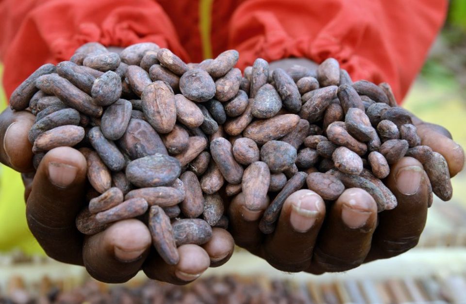 Les pays africains pauvres en matières premières connaîtront une croissance d’environ 5% en 2019 (FMI)