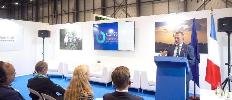 COP25 : le plaidoyer du Pr Lee White pour préserver la biodiversité