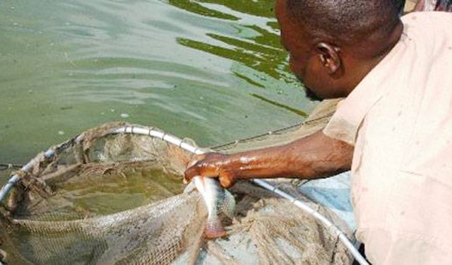 Secteur Pêche : un cahier des charges pour mieux réguler l’activité des pêcheurs